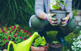 Feed the soil in your organic garden with homemade compost, rotted manure or leaf mould. Create An Organic Garden Without Being Martha Stewart Hendrikus Organics