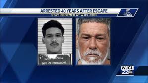 Police: Savannah driver arrested after hitting pedestrians