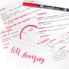 Pin On Study