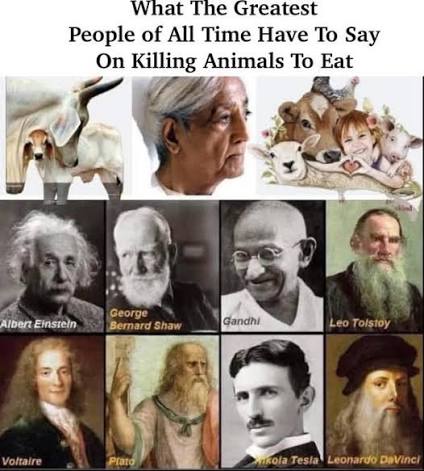 Famous thinkers on the morality of killing animals for food