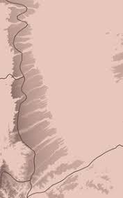 Image result for Dewevrella cochliostema