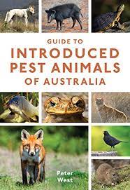 Field guide to pest animal‪s‬ is a free software. Guide To Introduced Pest Animals Of Australia Illustrated West Peter Amazon Com