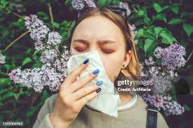 3 346 Bush Teen Stock Photos, High-Res Pictures, and Images