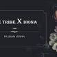 TRIBE WANT VIBE event image