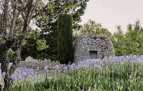 A Blissful Garden On A Provencal Hillside In 2020 Provence Garden Mediterranean Plants Perovskia Blue Spire