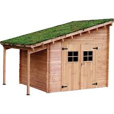 Une Toiture Vegetale Pour Mon Abri De Jardin Abri De Jardin Abri De Jardin Bois Amenagement Devant Maison