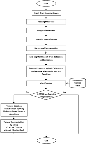 symmetry free full text segmentation of brain tumors in