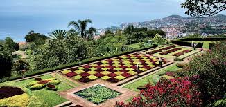 Blog Oficial In 2020 With Images Garden Blog