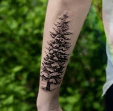 Snow Pine Tattoo Pine Tattoo Tattoos Tree Tattoo