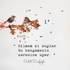 Cahit zarifoğlu sözleri instagram ile i̇lişikli yazılar. Goruntunun Olasi Icerigi Kus Ve Yazi Ilham Veren Sozler Kitap Kenari Ilahm Veren Alintilar