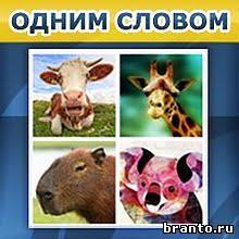 игра одним словом антонимы ответы на все уровни в одноклассниках Odnim Slovom Otvety Na Vse Urovni Igry V Odnoklassnikah Vkontakte