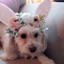 appreciate family time at christmas