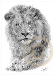 Pin By Lisa Simpson On My Art Ideas Big Cats Art Lion Art Lion Drawing
