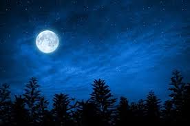Avec lune jardin vous utilisez la permaculture pour travailler et embellir votre jardin appliquez les concepts de la biodynamie et partagez les principes de l agriculture biologique. Faire Ses Semis De Legumes Et Fleurs En Fonction De La Lune
