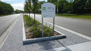 Stormwater Management In The Median Silva Cell Case Study Deeproot Blog Silva Cells Case Study Management Blog Entry