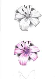 Lily is one of the prettiest flower among many other. 10 Best Lily Tattoo Designs Ideas And Pictures