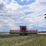 Call for Expanding Ecological Farming to Boost Sweden's Agricultural Resilience