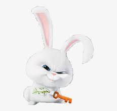 Check spelling or type a new query. Snowball Bunny Secret Life Of Pets Rabbit Png 573x750 Png Download Pngkit