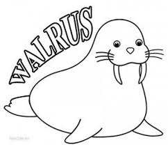 Walrus Coloring Pages Coloring Pages Animal Coloring Pages Toddler Coloring Book
