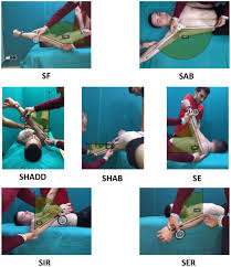 Rom using a goniometer (norkin and white, 2009): Frontiers Low Range Of Shoulders Horizontal Abduction Predisposes For Shoulder Pain In Competitive Young Swimmers Psychology