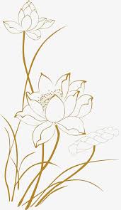 Lotus Line Drawings Lotus Clipart Line Clipart Lotus Png Transparent Clipart Image And Psd File For Free Download Flower Line Drawings Flower Drawing Lotus Art Pikpng encourages users to upload free artworks without copyright. lotus line drawings lotus clipart