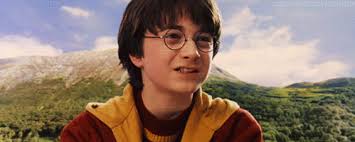 Brown protein user review