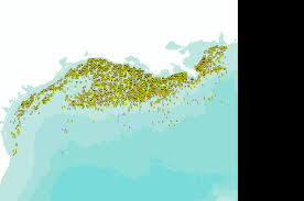 Gulf Of Mexico Oil Drilling Platforms Data Basin