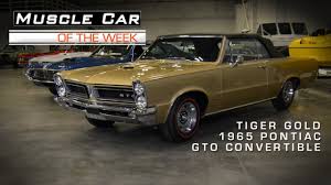 Image result for Tiger Gold 1965 GTO