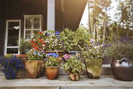 Container gardening is an attractive alternative to gardening in the ground for many reasons. Container Gardening Guide How To Create A Container Garden