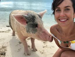 Our Team — Wildlife Rescue of Charlotte