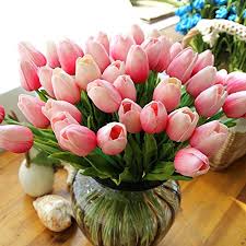 Dulunya tulipa hanya memiliki 2 warna saja, yaitu merah dan kuing. Tak Hanya Romantis Ternyata 5 Bunga Ini Memiliki Makna Dalam Tersendiri