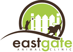 Full service veterinary hospital, boarding, and grooming facility. East Memphis Germantown Tn Veterinarian Eastgate Animal Clinic Memphis Tn