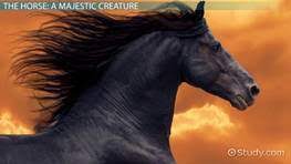 Horse Habitat Facts Lesson For Kids Video Lesson Transcript Study Com