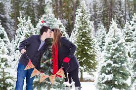 The advantage of transparent image is that it can be used efficiently. Green Bluff Christmas Tree Shoot By 2ee S Photography