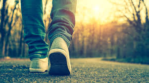 Caminante no hay camino, se hace camino al andar
