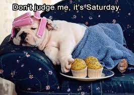 Your imagination is your preview of life coming attractions. 90 Funny Saturday Memes Images Pics For A Happy Weekend