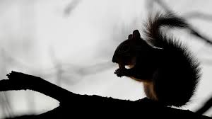 Acorns is for saving, investing, and building a retirement… and it does so automatically, without you. Start Small 4 Ways To Microinvest Marketwatch