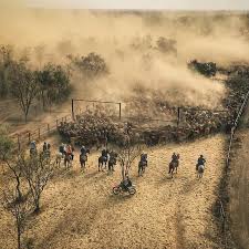 Classic Tom86 Absolute Ripper Of A Shot Mate Meda Station West Kimberley Ringerswestern Www Ringerswest Outback Australia Australia Photos Australian Coasts