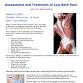 Assessment and Treatment of Low Back Pain – Ankeny, Iowa