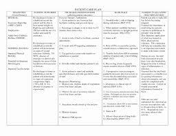 Immobility, which leads to pressure, shear, and friction, is the factor most likely to put an individual at risk for altered skin integrity. Impaired Skin Integrity Nursing Care Plan Inspirational 001 Patient Care Plan Template Breathtaking Templates Nurs Teaching Plan Nursing Care Plan Nursing Care