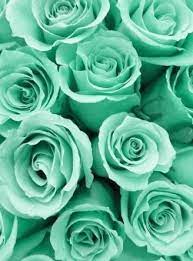 Pin By Aliya Rustamova On Arkaplan Tasarimlari In 2020 Mint Green Aesthetic Mint Aesthetic Mint Green Wallpaper