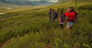 Check spelling or type a new query. Tombstone Territorial Park Travel Yukon Yukon Canada Official Tourism Website For The Yukon Territory