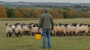 Cover the down payment or closing costs on a farm loan. Jeremy Clarkson Reveals Heartache Filming Farming Tv Series Bbc News