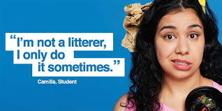 Litter Perception Survey