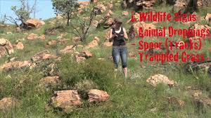 There are thousands of things you can do with spring, and we have lots of guides available to take. Tow How To Find Natural Spring Water Youtube