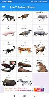 There are so many wonderful creatures to see, but where to start? Download A To Z Animal Names Alphabet By Animal Pics Sound Free For Android A To Z Animal Names Alphabet By Animal Pics Sound Apk Download Steprimo Com