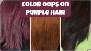 The perfect at home coloring hair conditioner. How I Went From Purple To Brown Hair Coloroops Alyssa Nicole Youtube