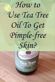 How To Use Tea Tree Oil To Get Pimple Free Skin In 2020 Tea Tree Oil Pimple Free Skin Tee Tree Oil