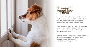 We pride ourselves on our ability to educate owners in how to allow their pets to live long healthy lives. Bailey Veterinary Clinic Veterinarian In Roseburg Or