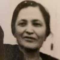 Sophie Shava Stillman (1880–1952) • FamilySearch